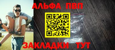 стаф Гай