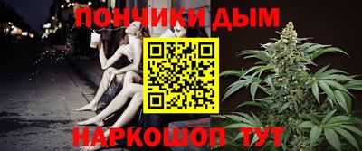 стаф Гай
