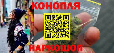 стаф Гай