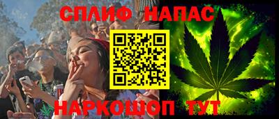 индика Гагарин