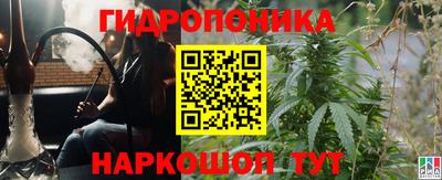 стаф Гай