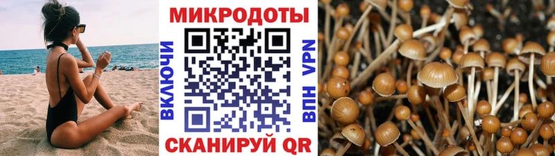 МЕГА tor  как найти   Белебей  Псилоцибиновые грибы Psilocybine cubensis 